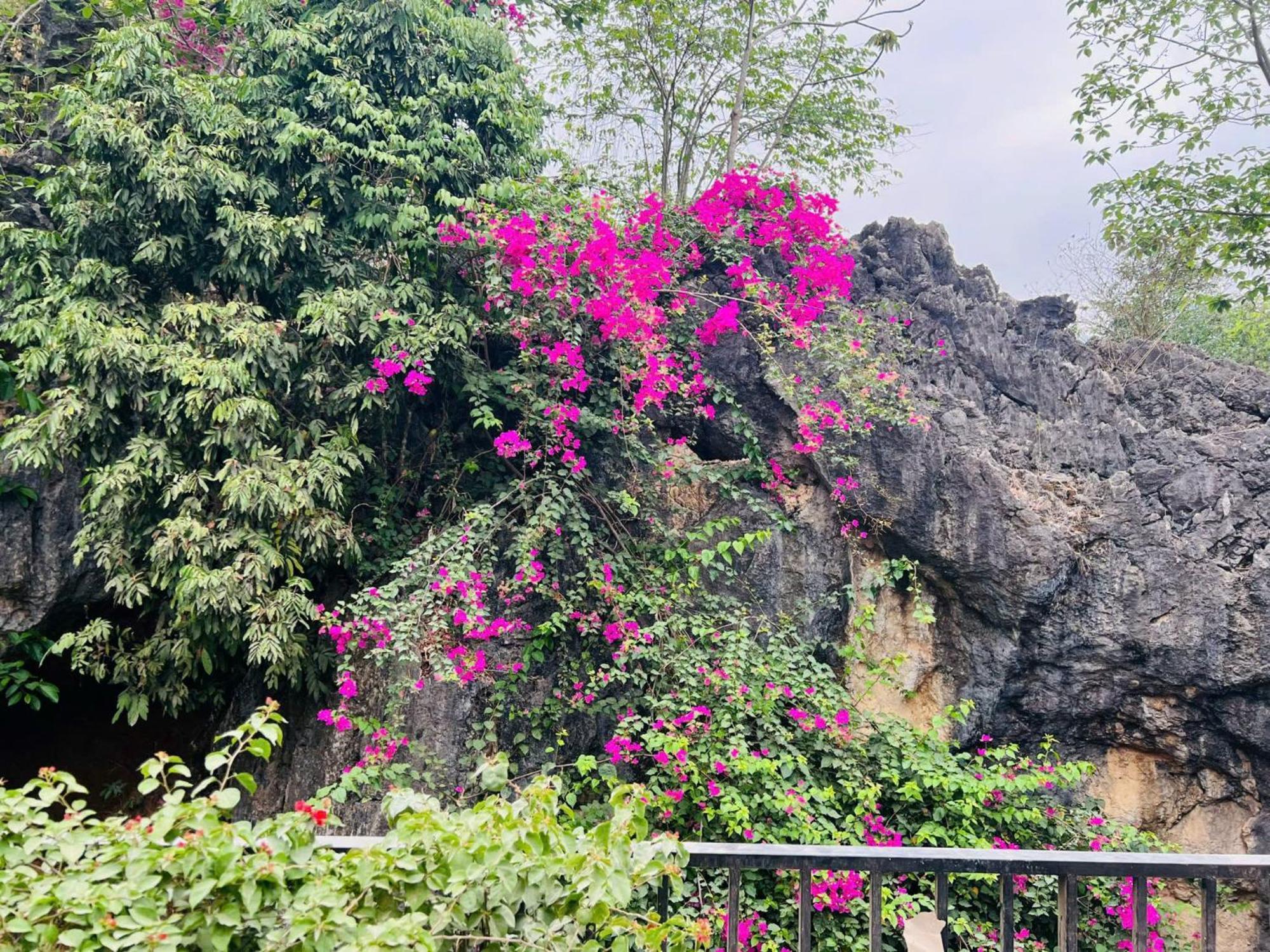 Mai Chau 4 Seasons Bungalow & Hotel 외부 사진
